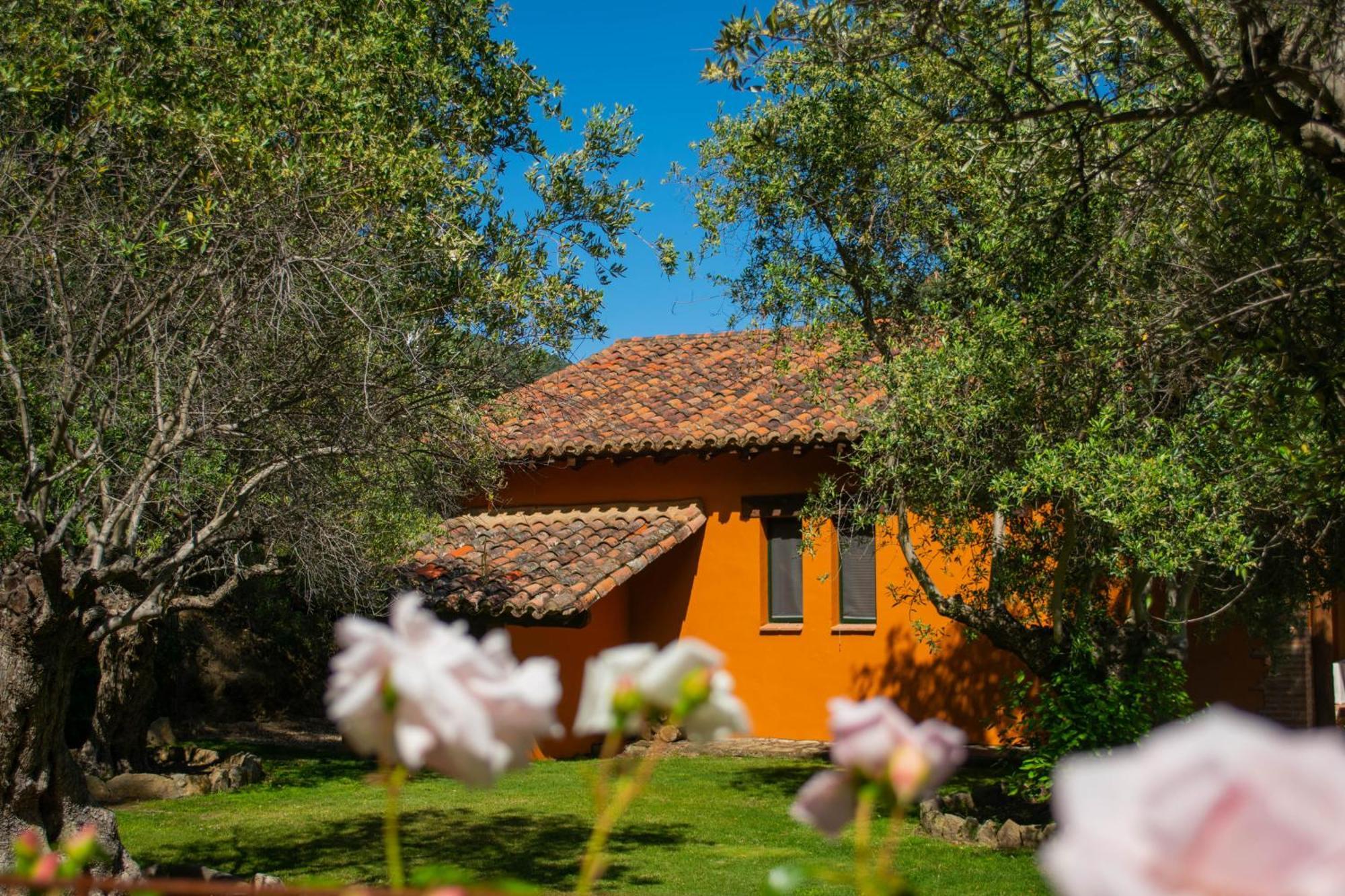 El Escondite De Pedro Malillo Candeleda Oda fotoğraf