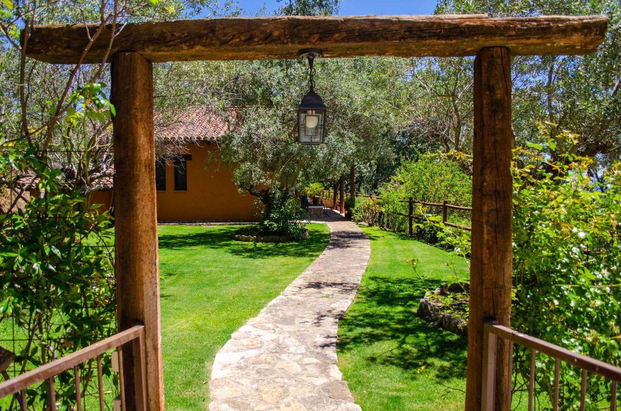 El Escondite De Pedro Malillo Candeleda Oda fotoğraf